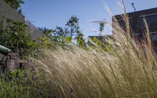 Veerkracht - Jaarverslag 2021