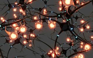 Basis- en vervolgcursus cognitieve gedragstherapie voor de forensische GGZ