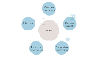 Psychodiagnostisch Expertise Team als overstijgend team voor complexe vraagstukken