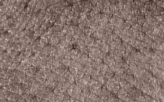 Veelbelovende procesevaluatie Seksueel Grensoverschrijdend Gedrag Jeugd